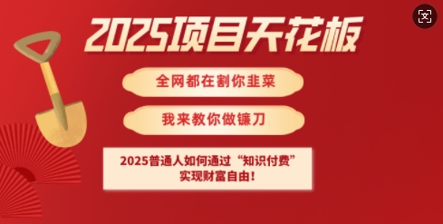 2025项目天花板普通人如何通过知识付费，实现财F自由【揭秘】-韭菜网